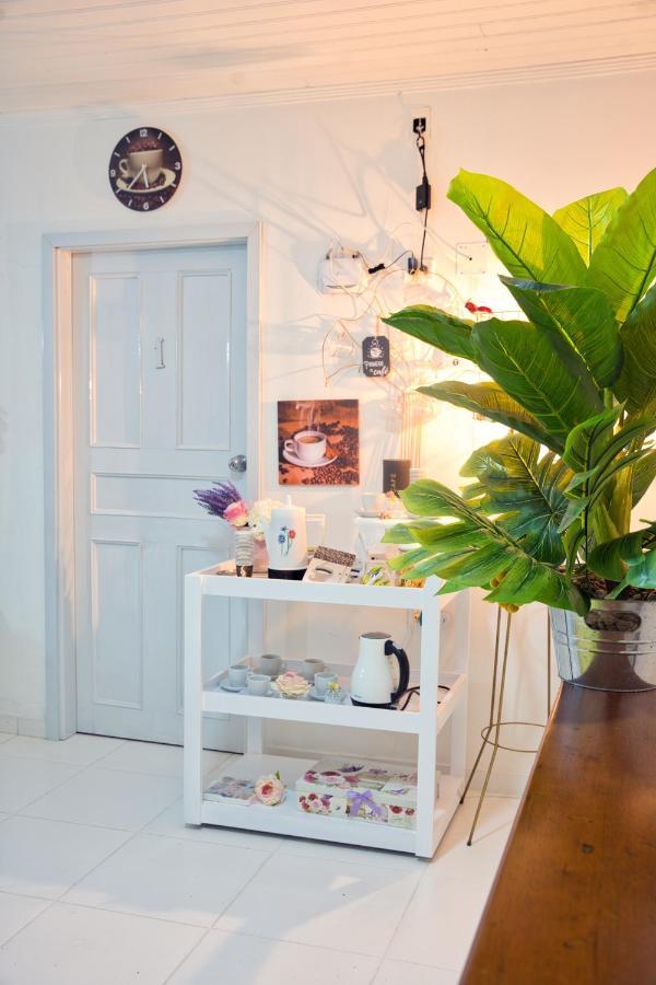 El Borsalino - Apartamento En Amazonas, Leticia Esterno foto